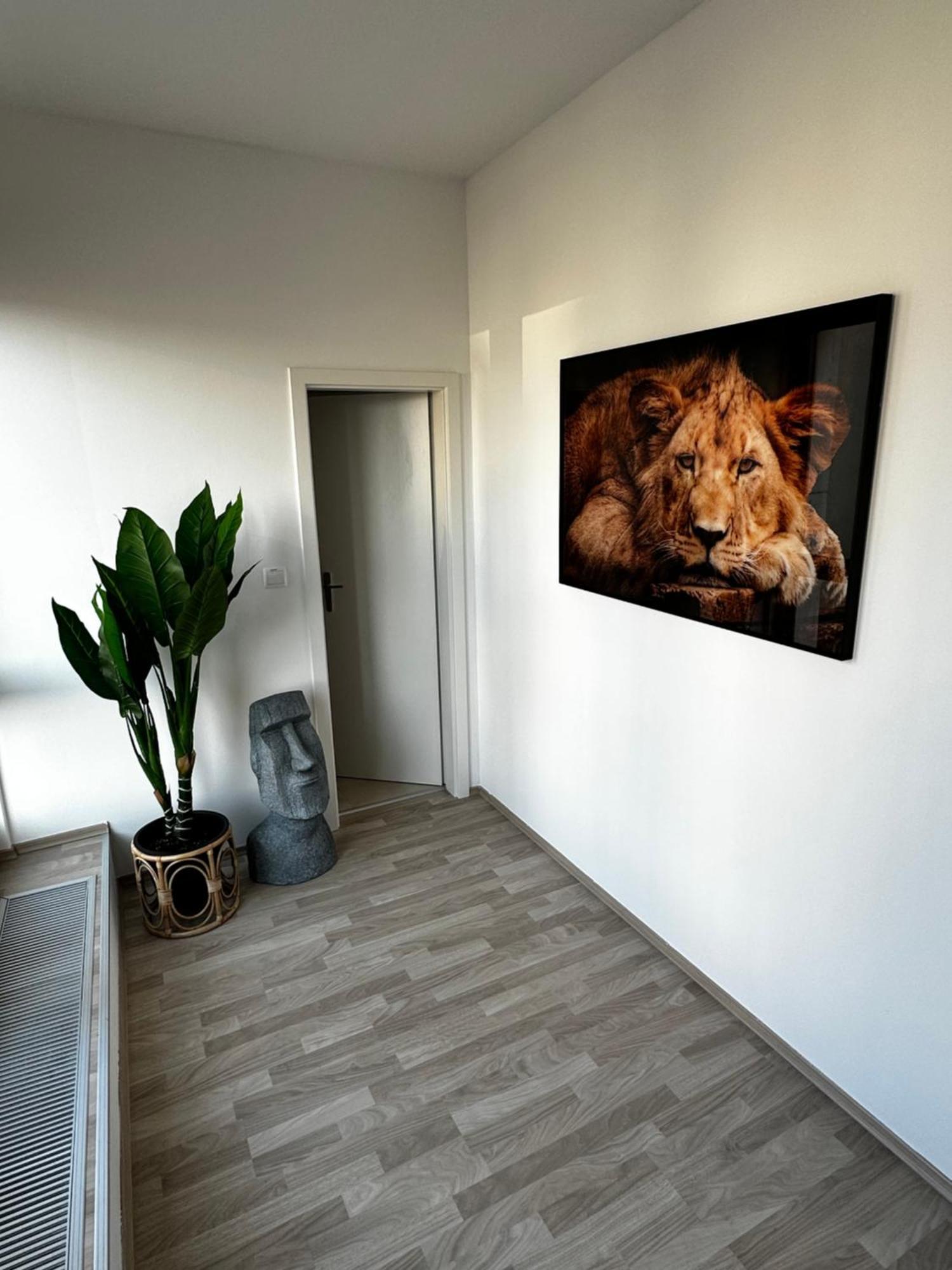 Ferienwohnung Luxury Penthouse At The Historical Centre With Free Parking Pressburg Exterior foto